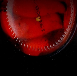 Piquillo